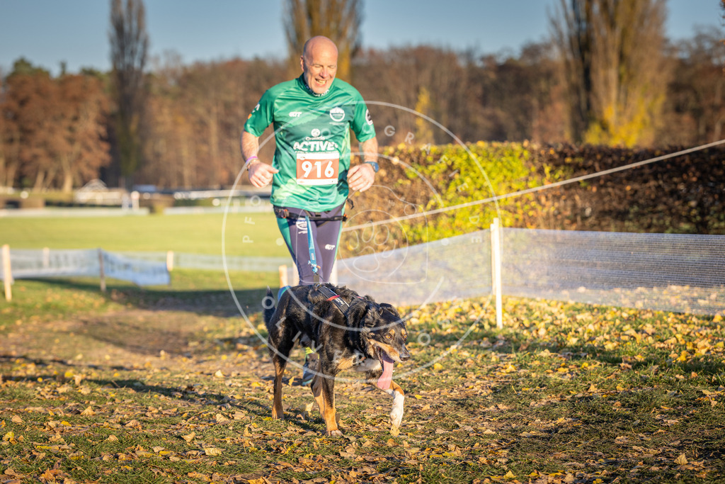 CaniXpix_DV3A4842 | Hundefotografie, Tierfotograf, Pfotenfotografie, Fotoshooting Hund, Hunde Portrait, Hundesport, Hundeportraits, Heideshooting, Hunde, Sportfotograf, Hundefotograf, Turnierhundsport, THS,  - Realisiert mit Pictrs.com