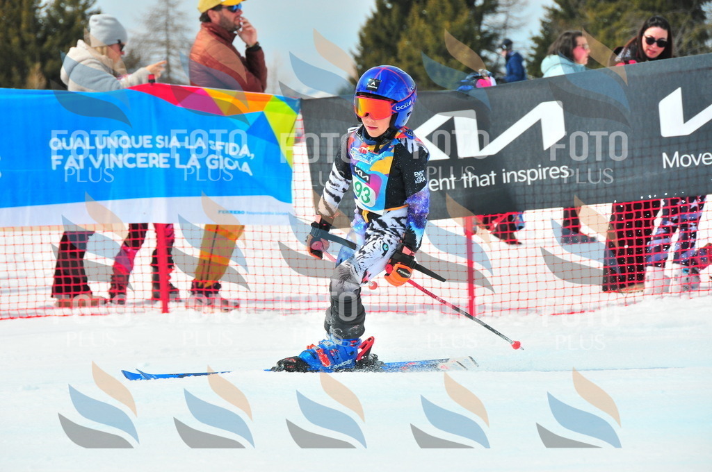 DSC_1772 | holidayphoto