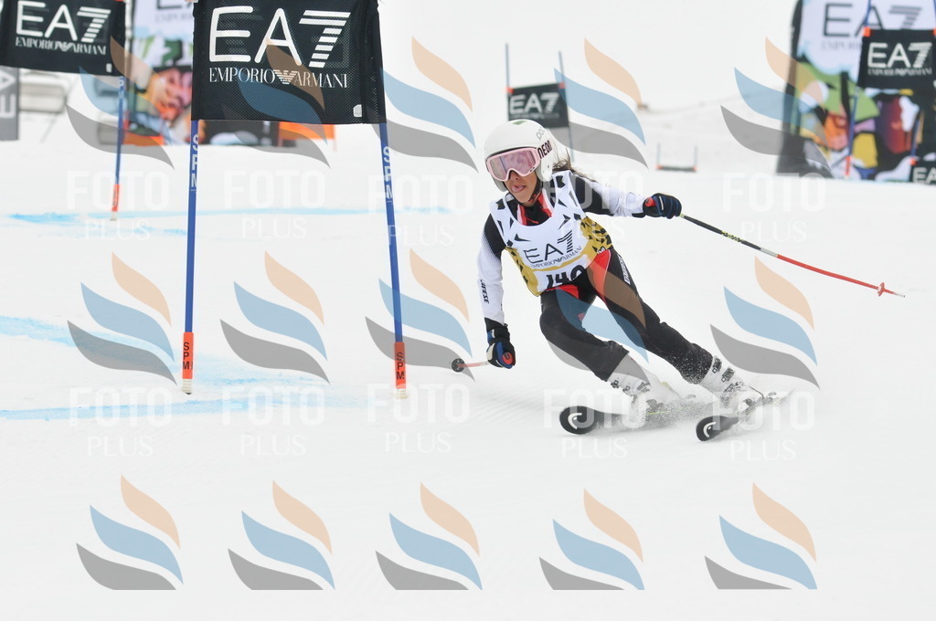 DSC_8369 | holidayphoto