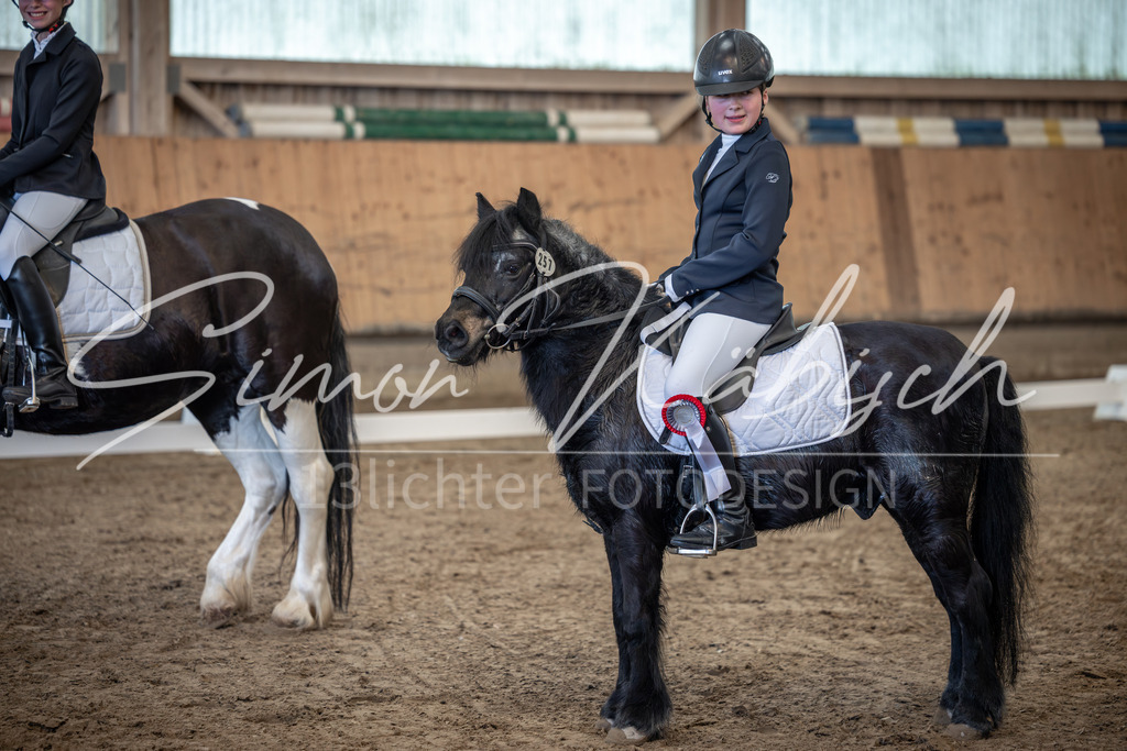 20251011-_3LI8086 | Tierfotografie Pferde, Hunde, Katzen, Haustiere.
Turnierfotografie Reitturniere, Reiten, Springreiten, Dressur in Hanau, dem Main-Kinzig-Kreis und dem Rhein-Main- Gebiet um Frankfurt