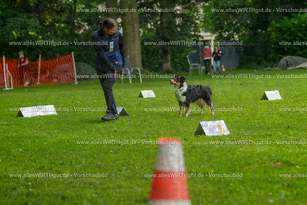 @allesWIRTHgut_Tierfotografie - www.allesWIRTHgut.de - 7R502319 | Professionelle Tierfotografie in Mönchengladbach von Daniel Wirth (allesWIRTHgut). Liebevolle & natürliche Bilder von Hunden & Katzen für unvergessliche Erinnerungen.