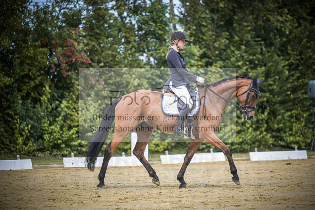 DOS_2089 | Entdecke hochwertige Reitturnierfotos von Foto Oger. Professionell, emotional und authentisch – jetzt Lieblingsmomente im Shop bestellen.Deutschlandweite Turnierfotografie. - Realisiert mit Pictrs.com