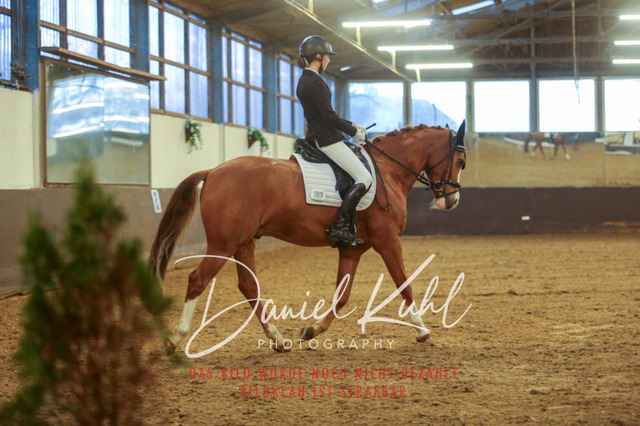 IMG_8270 | Turniersportfotografie; Pferdefotografie; Dressurfotografie