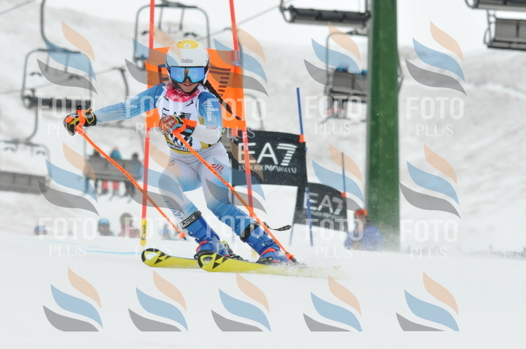 DSC_8863 | holidayphoto