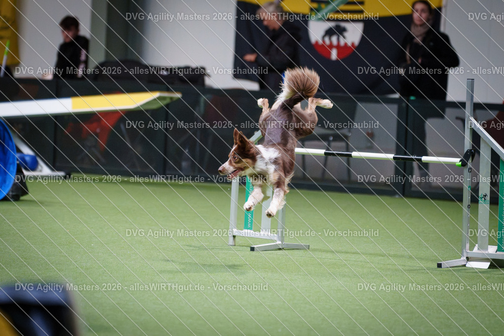 allesWIRTHgut_Tierfotografie-DVG_Agility_Masters_2026-16_23-7R507661 | Professionelle Tierfotografie in Mönchengladbach von Daniel Wirth (allesWIRTHgut). Liebevolle & natürliche Bilder von Hunden & Katzen für unvergessliche Erinnerungen.