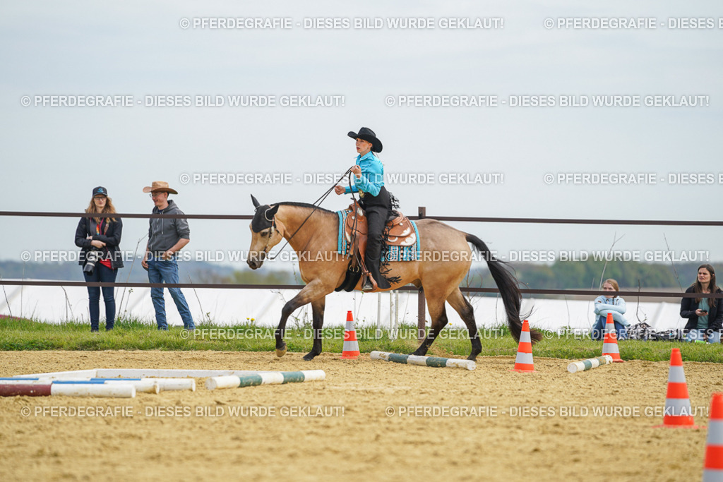 DSC03411 | Pferdegrafie