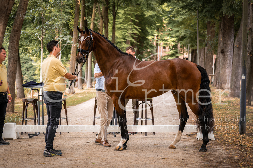 FrPfM00033 | Leoni Ertmer Photography - Realisiert mit Pictrs.com