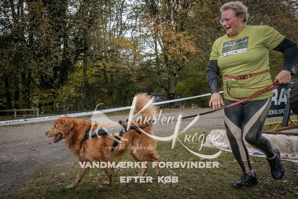 1629_ZZ93526 | kk-dogfotos