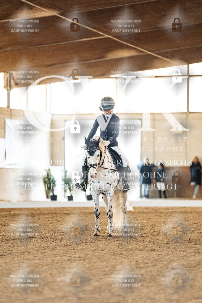 CK906898 | Turnierfotografie Pferdefotografie Trier Rheinland-Pfalz Pferdesport Reitsport Tierfotografie Sportfotografie Pferdevideo Pferdevideografie Equestrianvideography equestrianphotography  - Realisiert mit Pictrs.com