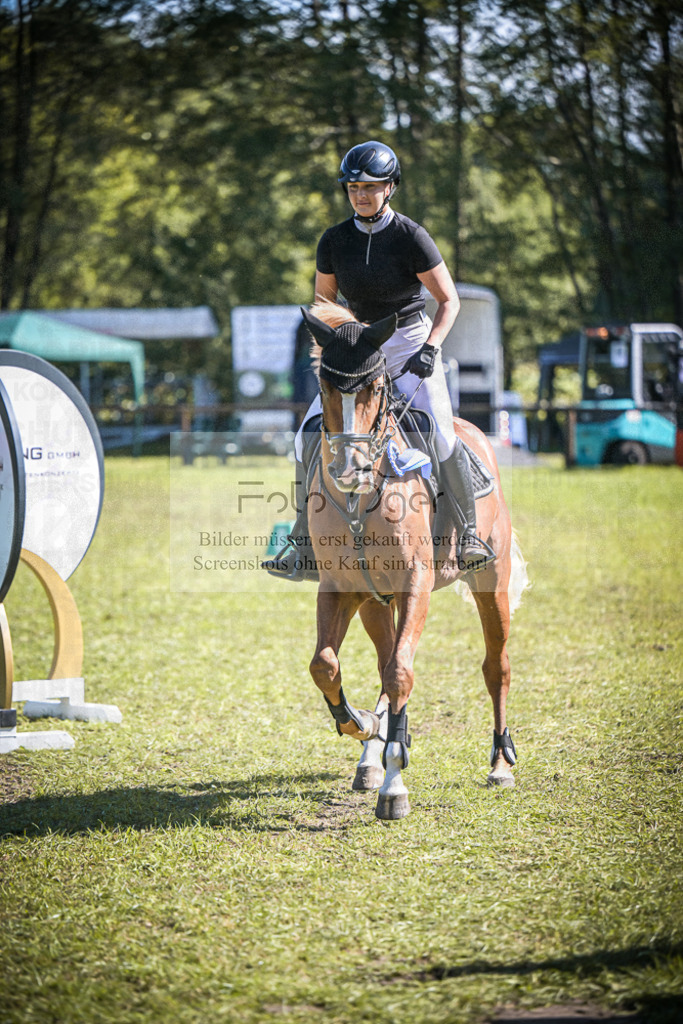 DOS_0149 | Entdecke hochwertige Reitturnierfotos von Foto Oger. Professionell, emotional und authentisch – jetzt Lieblingsmomente im Shop bestellen.Deutschlandweite Turnierfotografie. - Realisiert mit Pictrs.com