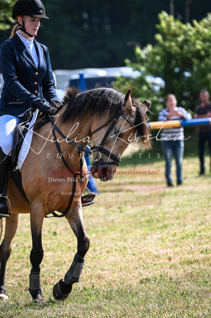 DSC_8025 | Pferde- und Turnierfotografie in Westsachsen. Pferdeportraits, Auftragszeichnungen und intuitive Kunst.