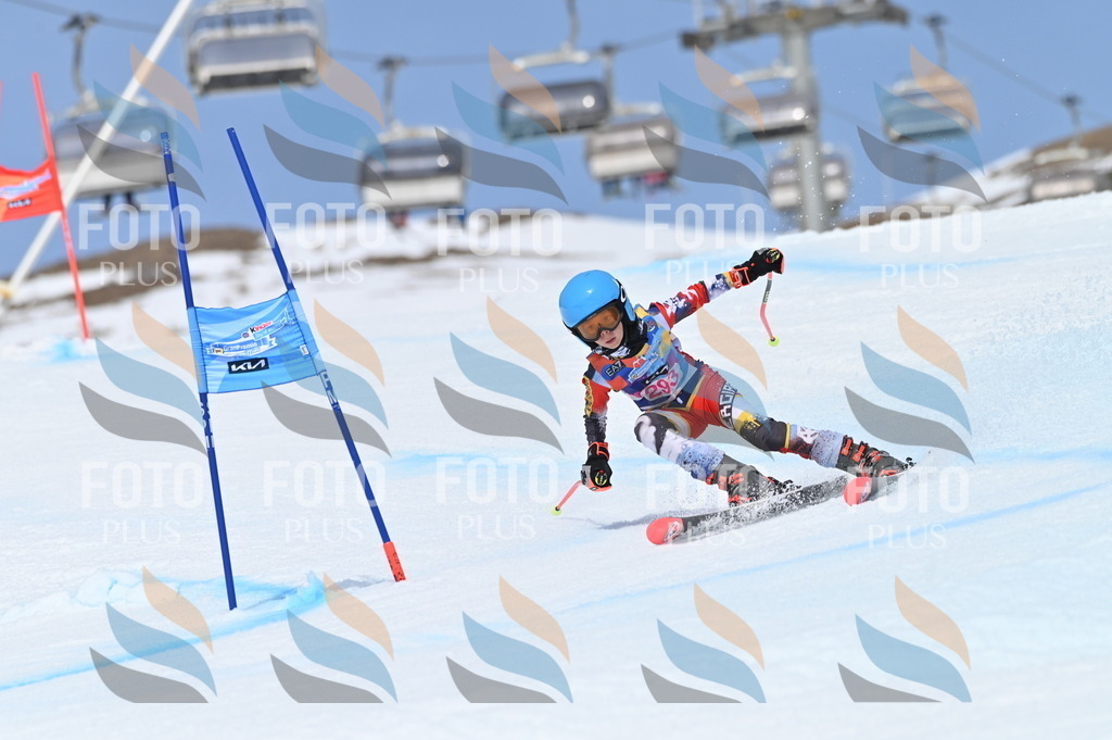 BGV_2664 | holidayphoto