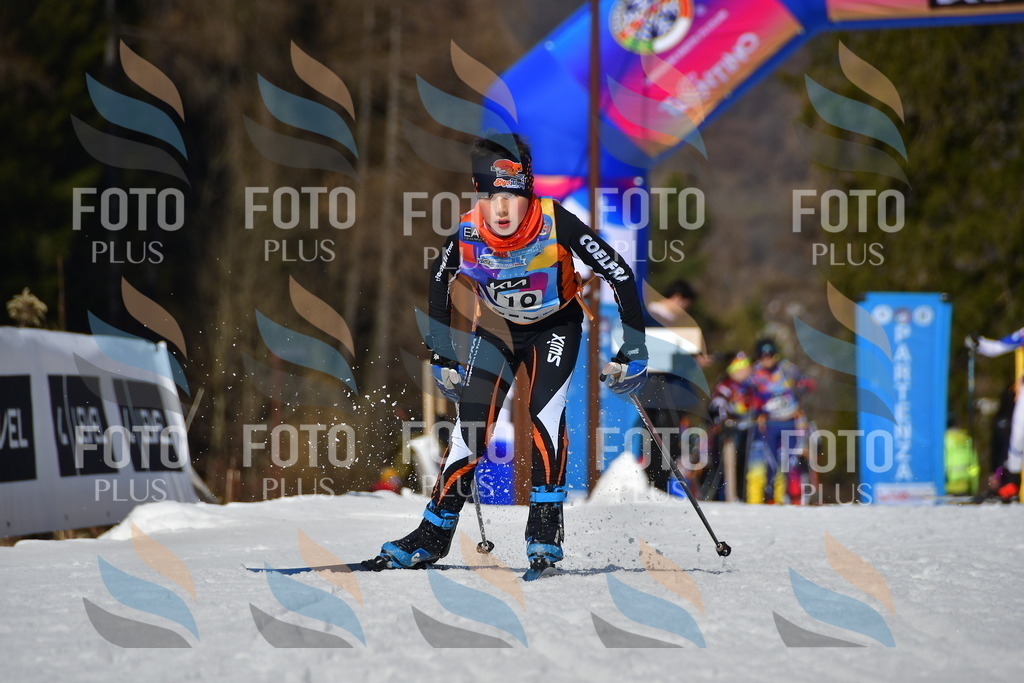 _DSC9900 | holidayphoto