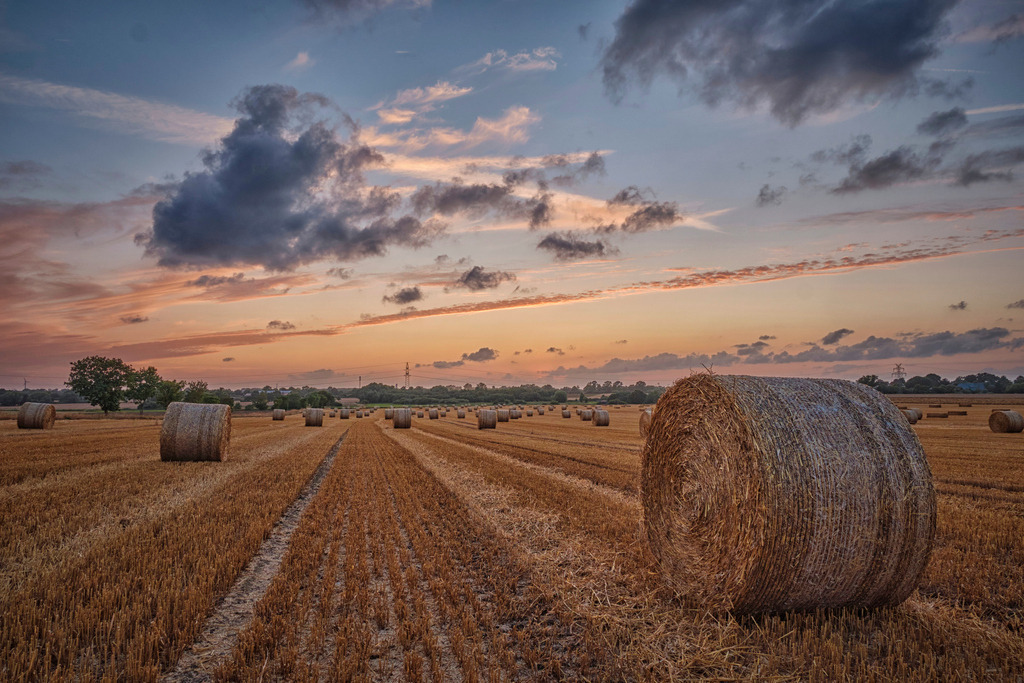 Strohballen | Entdecken Sie hochwertige Fotoprodukte für Ihr Zuhause, Büro oder als besonderes Geschenk.rpixel.de bietet Ihnen exklusive Fotografien aus den Bereichen Natur, Landschaft und Motiven vom Meer.Einfach direkt im Online-Shop bestellen. - Realisiert mit Pictrs.com
