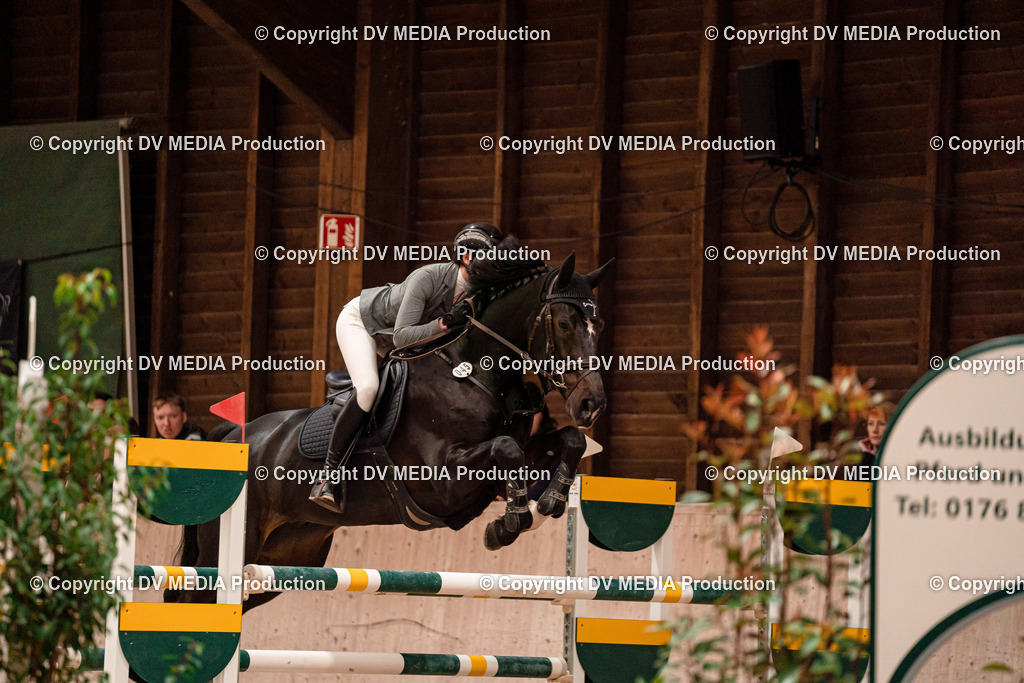 Springen Tag 3-326 | dv-media-shop - Realisiert mit Pictrs.com