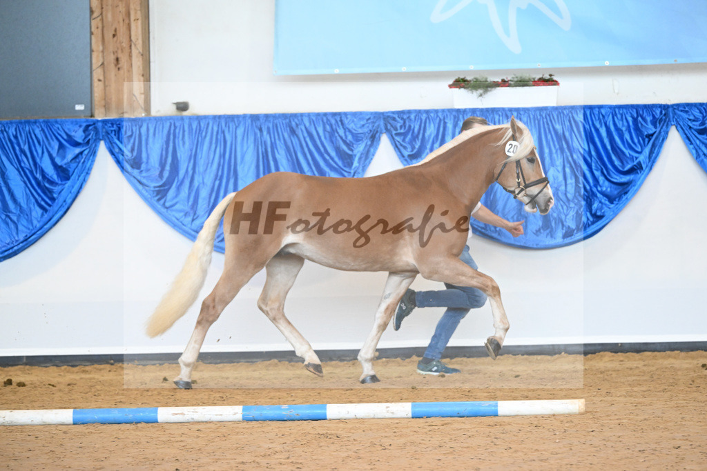 Kat-Nr. 20 nn v. Bugatti_Hock_60220774 | hf-fotografie - Realisiert mit Pictrs.com
