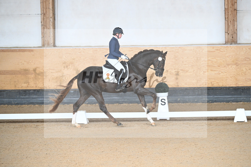 Kat-Nr. 1 Bastiano v. Benicio_Galneder_5240012 | hf-fotografie - Realisiert mit Pictrs.com