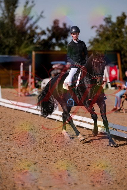 2026_10_03_Siefer-Hof_115802_Z81_99772119 | Professionelle Reitsport-, Turnier- und Eventfotografie von Robert Broda. Galerien mit ausgewählten und bearbeiteten Bildern direkt online ansehen und bestellen.