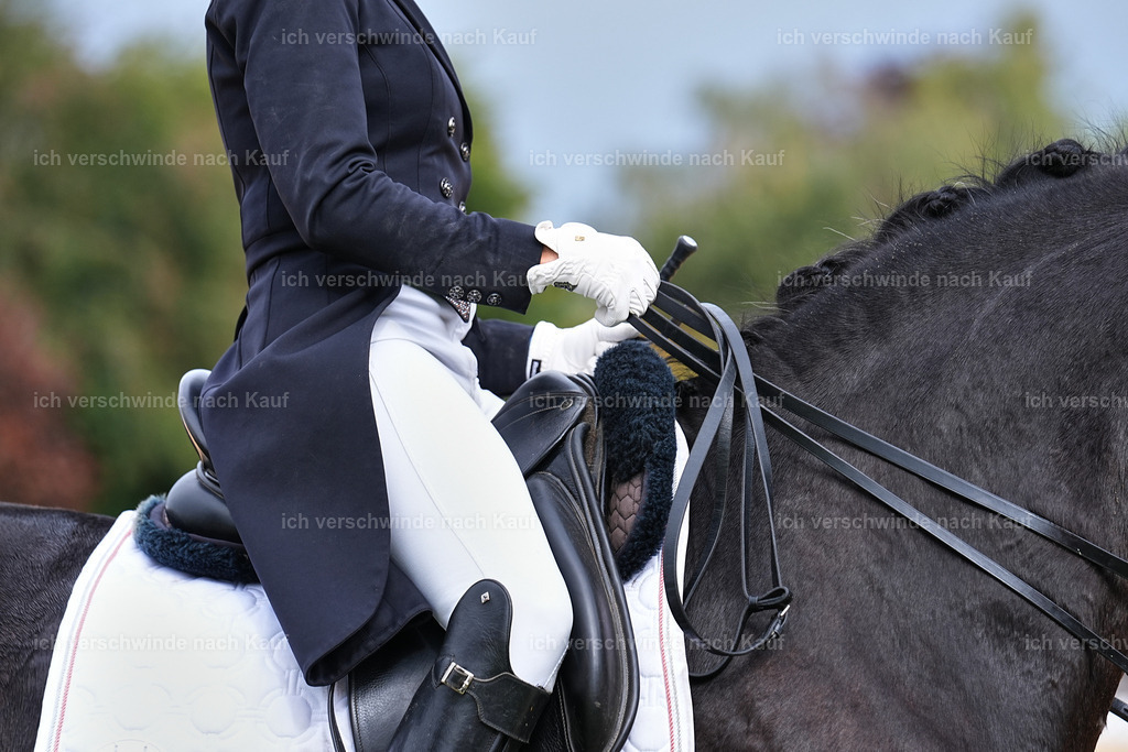 11-007-Dressur S___-Marixx-1702 | working equitationturnier fotograf videograf stoibphotography marixx film working equitation deutschland reitsport turnierfotografie eventfotografie equestrian events