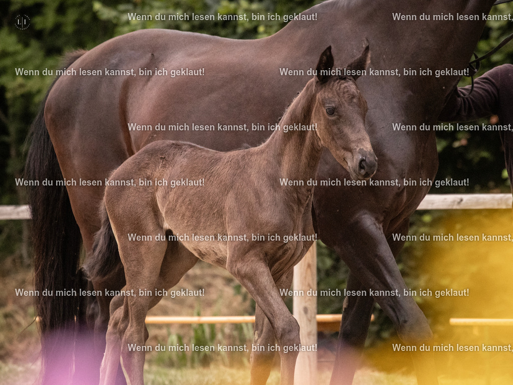 A10I5411 | photographylinaismer - Realisiert mit Pictrs.com