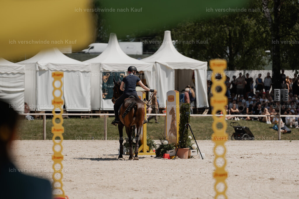 WE_SP_Stoib_333_PI2025_2036 | Pferd International München 2025