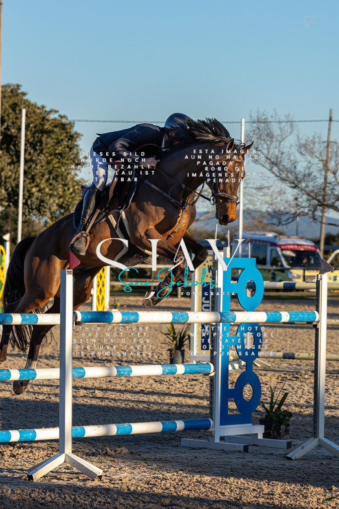 IMG_2977 | s-jay-photography - Realisiert mit Pictrs.com