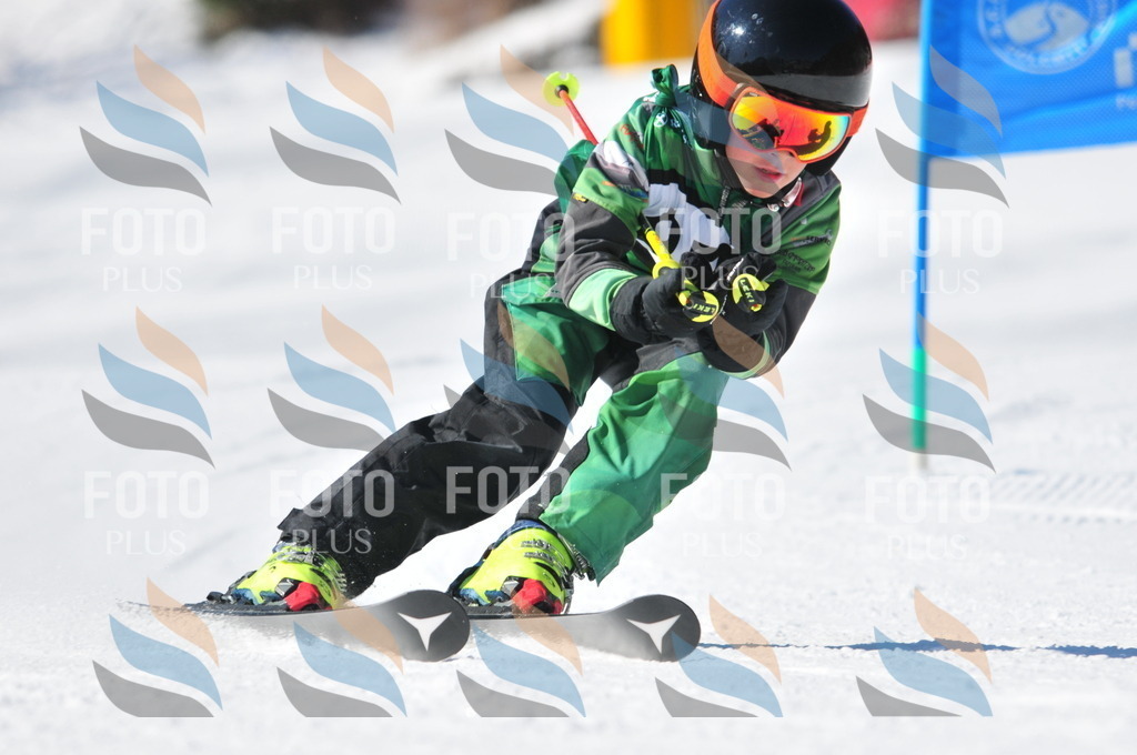 C3158 | holidayphoto