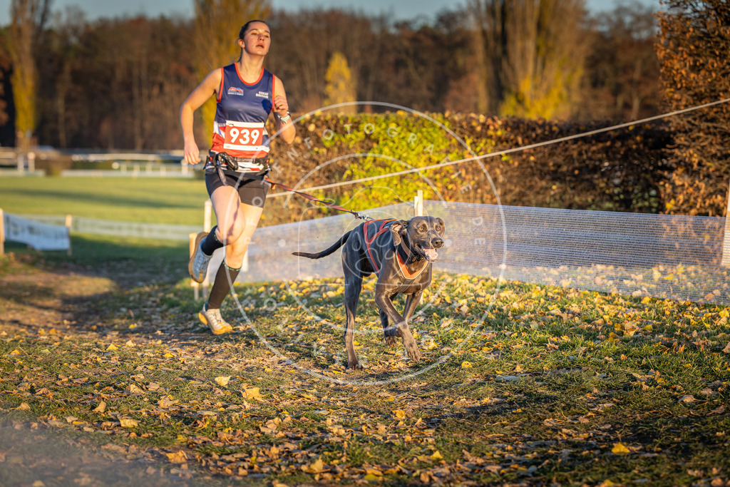 CaniXpix_DV3A5340 | Hundefotografie, Tierfotograf, Pfotenfotografie, Fotoshooting Hund, Hunde Portrait, Hundesport, Hundeportraits, Heideshooting, Hunde, Sportfotograf, Hundefotograf, Turnierhundsport, THS,  - Realisiert mit Pictrs.com