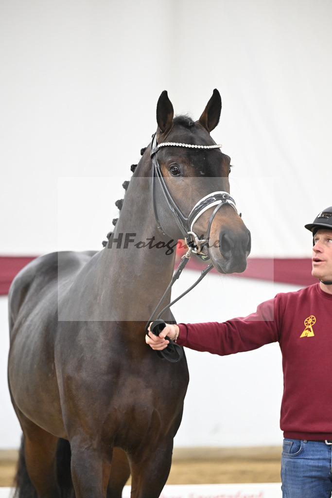 Kat-Nr. 21 St. Emilion x Quantensprung_Marianne Jerich_47250665 | hf-fotografie - Realisiert mit Pictrs.com