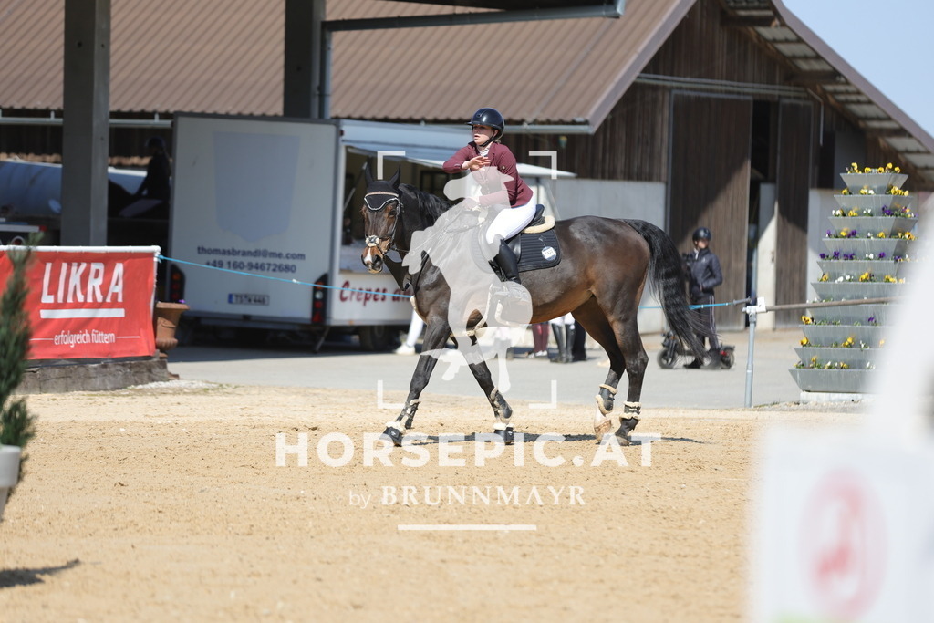 0P6A1023 | Willkommen bei Brunnmayr - Design & Fotografie – Ihrem Spezialisten für Reitturniere und Pferdeveranstaltungen in Oberösterreich, Salzburg und Bayern! Seit über 17 Jahren sind wir leidenschaftlich dabei.