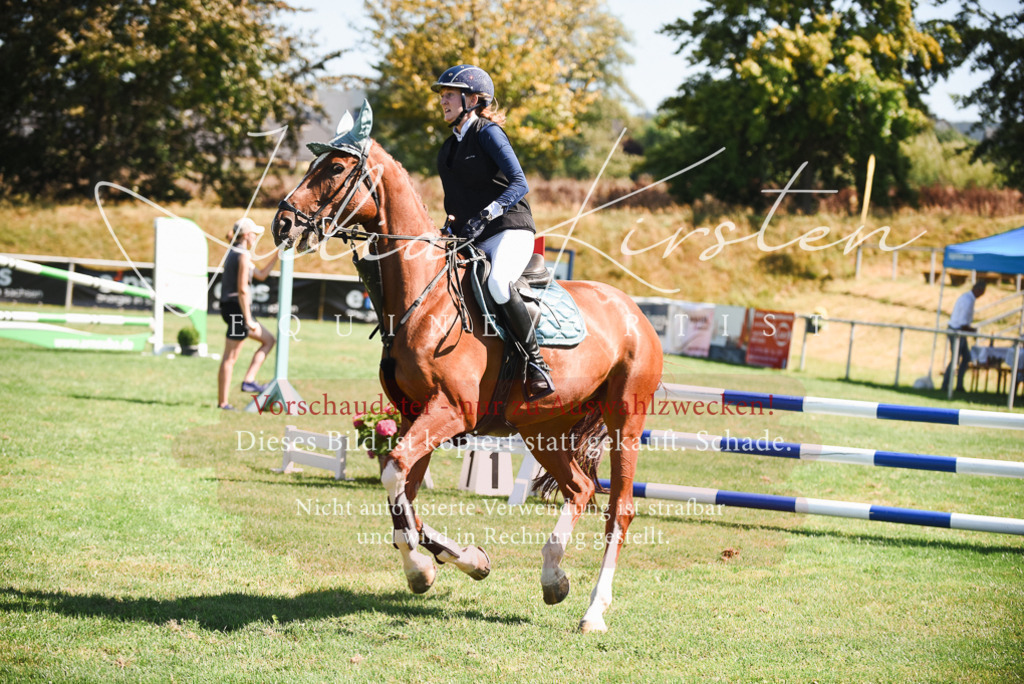 DSC_2843 | Pferde- und Turnierfotografie in Westsachsen. Pferdeportraits, Auftragszeichnungen und intuitive Kunst.