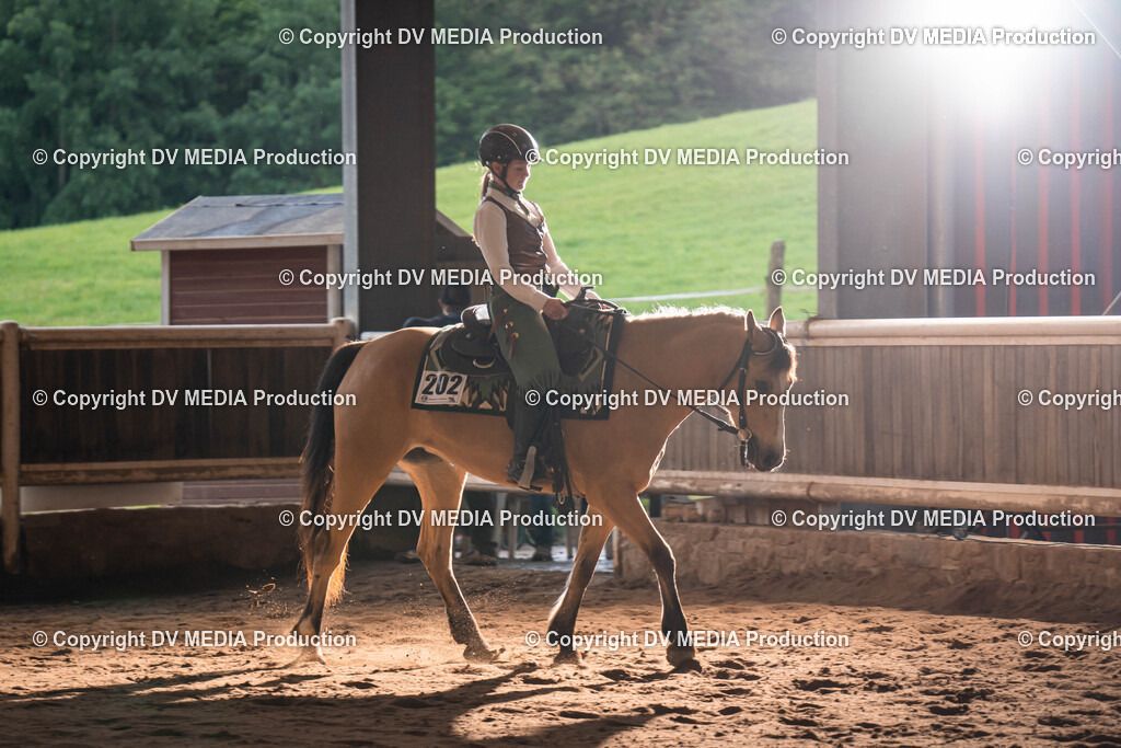 Erbach Tag 1-1010 | dv-media-shop - Realisiert mit Pictrs.com