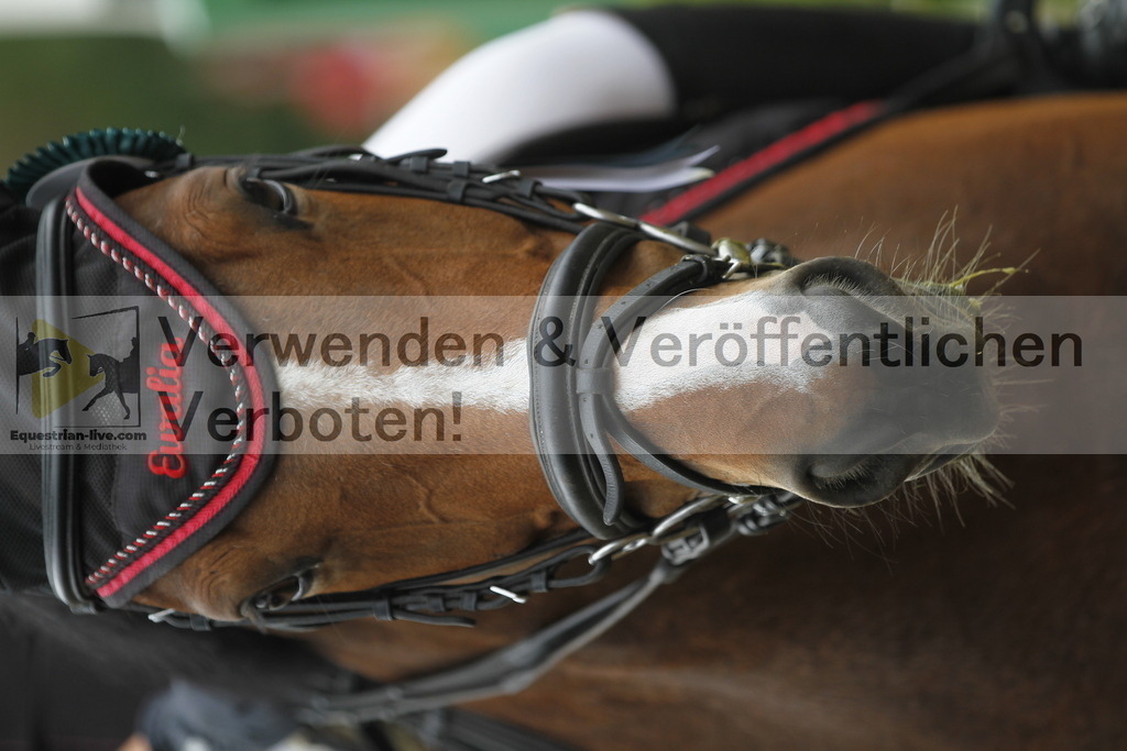 _MG_5740 | equestrian-live-com