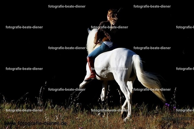 Ricarda m. WZ (23) | Fotografie, Tiere, Hunde, Katzen, Pferde, Sportfotografie, Fotosession, Tierfotografie, Turnierfotografie, Fotografin, Fotograf - Realisiert mit Pictrs.com