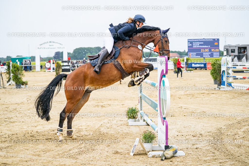 DSC07865 | Pferdegrafie