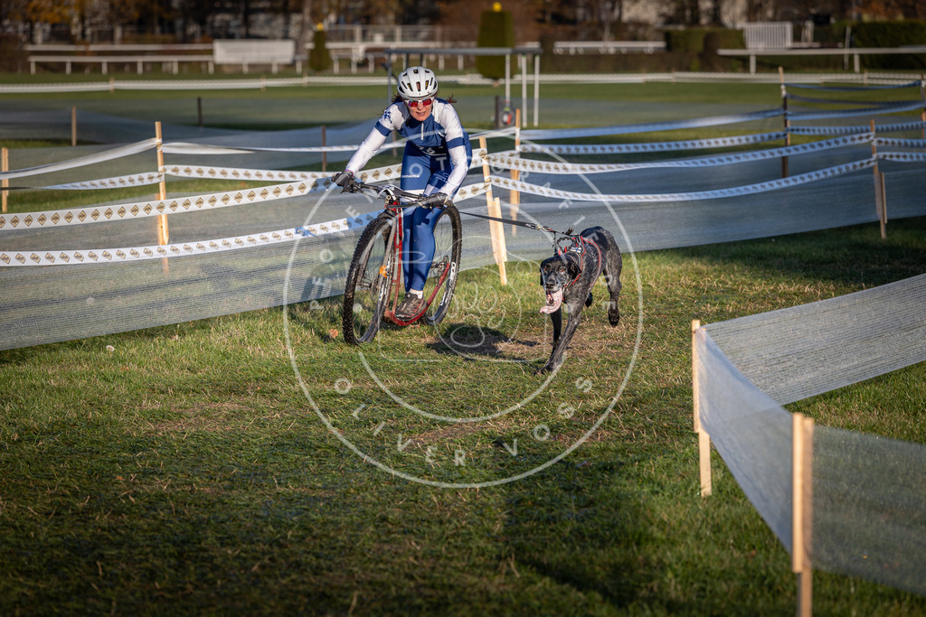 CaniXpix_0L8A3572 | Hundefotografie, Tierfotograf, Pfotenfotografie, Fotoshooting Hund, Hunde Portrait, Hundesport, Hundeportraits, Heideshooting, Hunde, Sportfotograf, Hundefotograf, Turnierhundsport, THS,  - Realisiert mit Pictrs.com