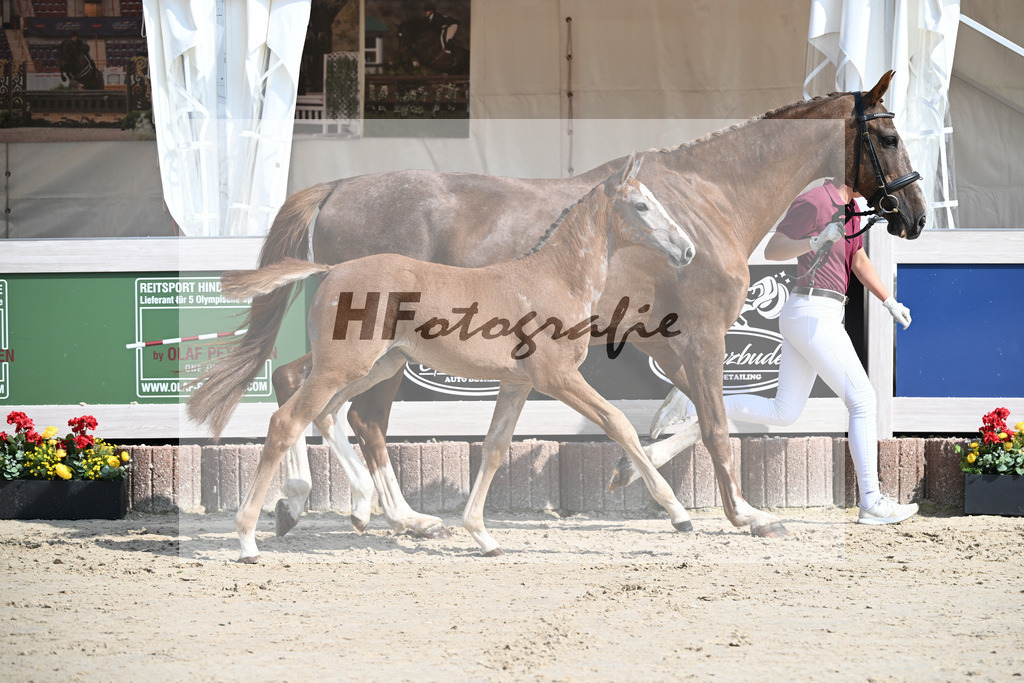 Agalord x C-Indoctro_SF_Diez_12250137 | hf-fotografie - Realisiert mit Pictrs.com