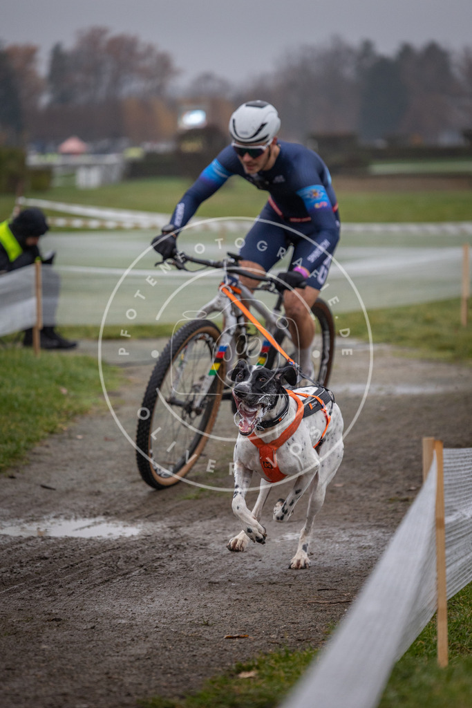 CaniXpix_0L8A1033 | Hundefotografie, Tierfotograf, Pfotenfotografie, Fotoshooting Hund, Hunde Portrait, Hundesport, Hundeportraits, Heideshooting, Hunde, Sportfotograf, Hundefotograf, Turnierhundsport, THS,  - Realisiert mit Pictrs.com