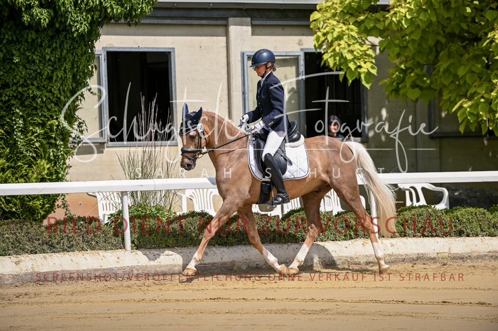 Schugtsche-Aluta25-48.Reitpferfdeprf.-20 | Schugtsche Fotografie - Realisiert mit Pictrs.com