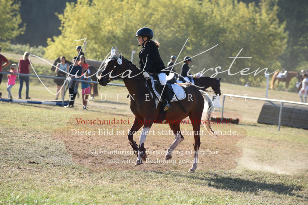 DSC_5588 | Pferde- und Turnierfotografie in Westsachsen. Pferdeportraits, Auftragszeichnungen und intuitive Kunst.