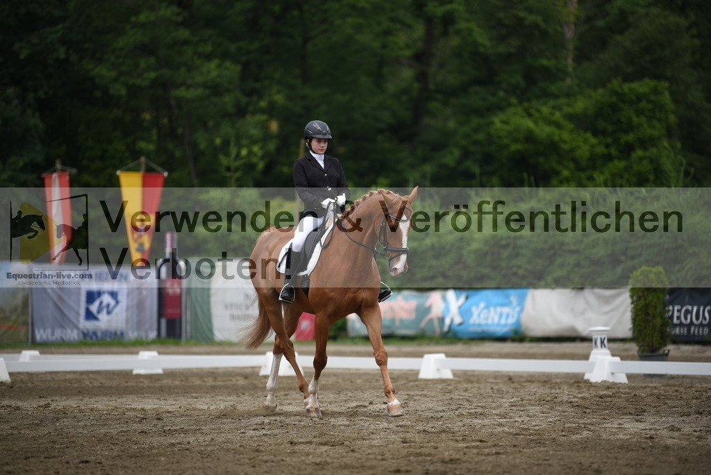 DSC_7967 | equestrian-live-com
