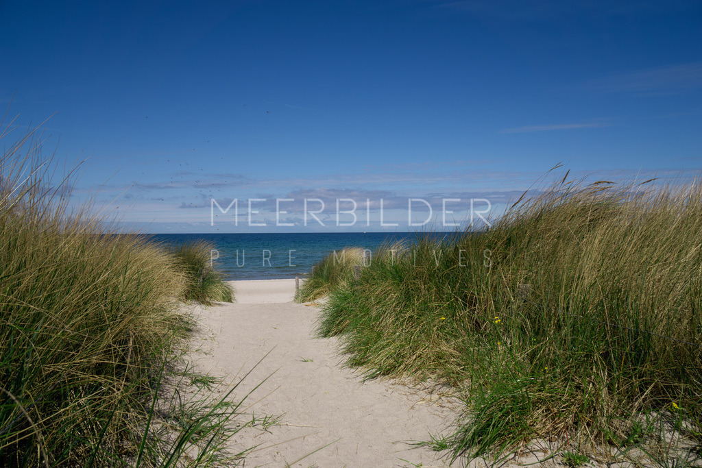 Dünenbild: Pfad durch Dünen an der Ostsee | Gestalten Sie Ihr Zuhause mit einzigartigen Bildern von Ostsee u. Nordsee – als Leinwandbild, Acryl, Alu-Dibond oder FineArt Hahnemühle, individuell anpassbar.