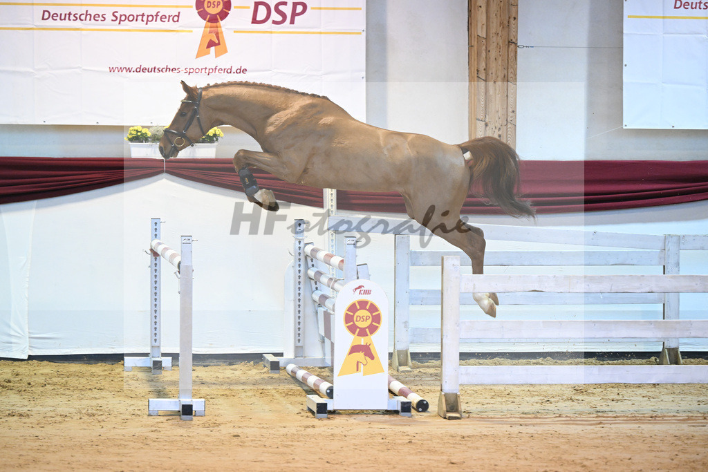 Kat-Nr. 101 Hernandez de la Cigale Z_Roedl_66221292 | hf-fotografie - Realisiert mit Pictrs.com