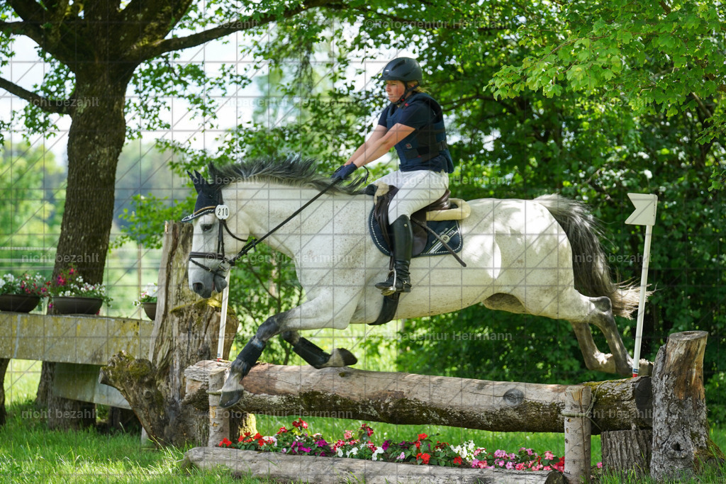 20240518-FAH03754 | Turnierbilder von Niederseon, Turnierfotografen Bayern, Fotoagentur Herrmann, Geländebilder, Reitsportfotografie