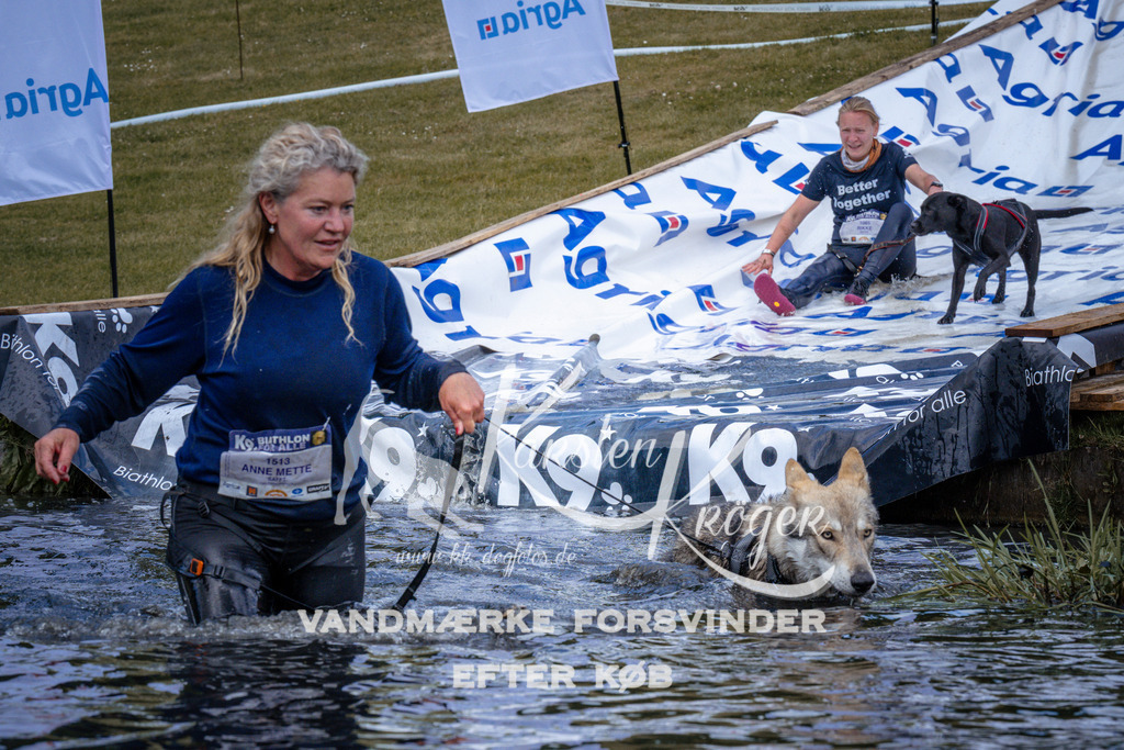 _ZZ914710914 | kk-dogfotos