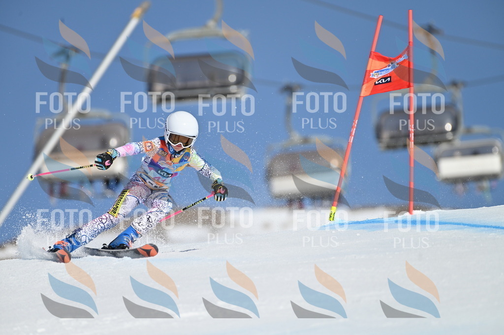 BGV_8366 | holidayphoto