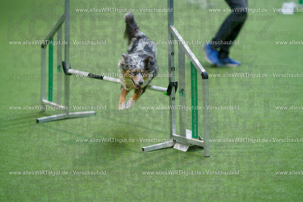@allesWIRTHgut_Tierfotografie - www.allesWIRTHgut.de - 2604250842-7R507512 | Professionelle Tierfotografie in Mönchengladbach von Daniel Wirth (allesWIRTHgut). Liebevolle & natürliche Bilder von Hunden & Katzen für unvergessliche Erinnerungen.
