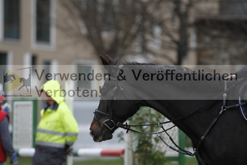 _MG_3637 | equestrian-live-com