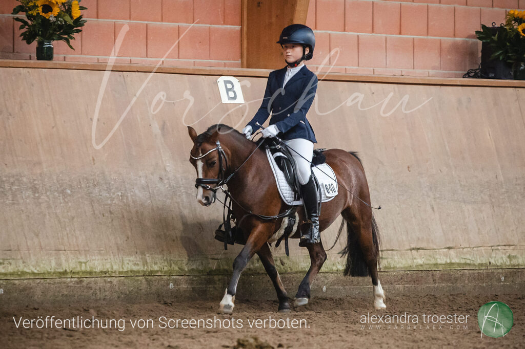 _MG_0719 | farbklaex.com