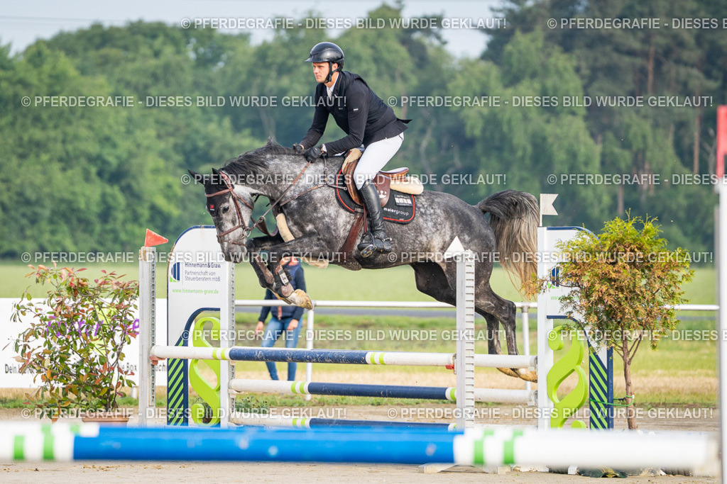 DSC07633 | Pferdegrafie